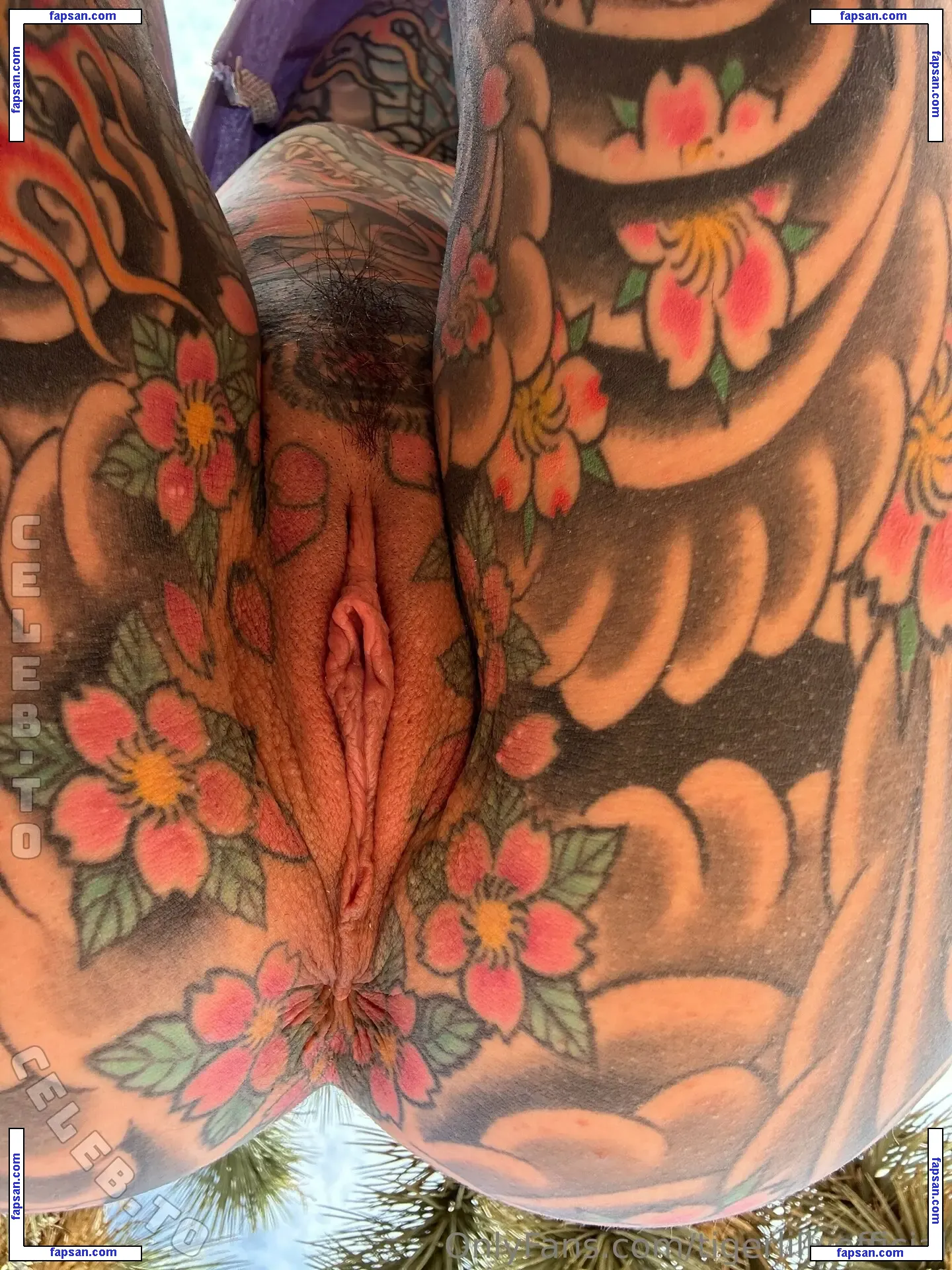 Tiger Lilly голая фото #0029 с Онлифанс