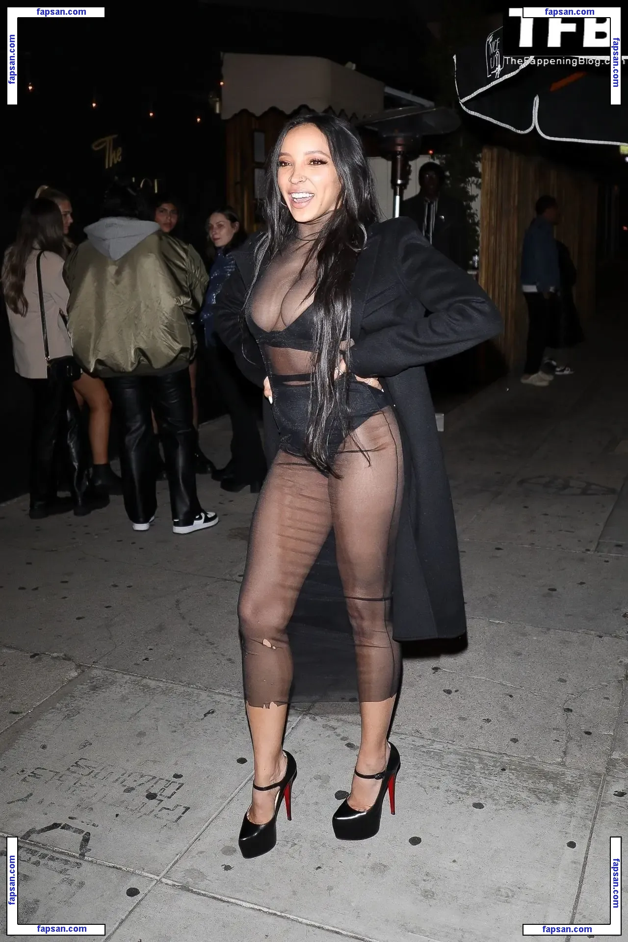 Tinashe nude photo #1155 from OnlyFans