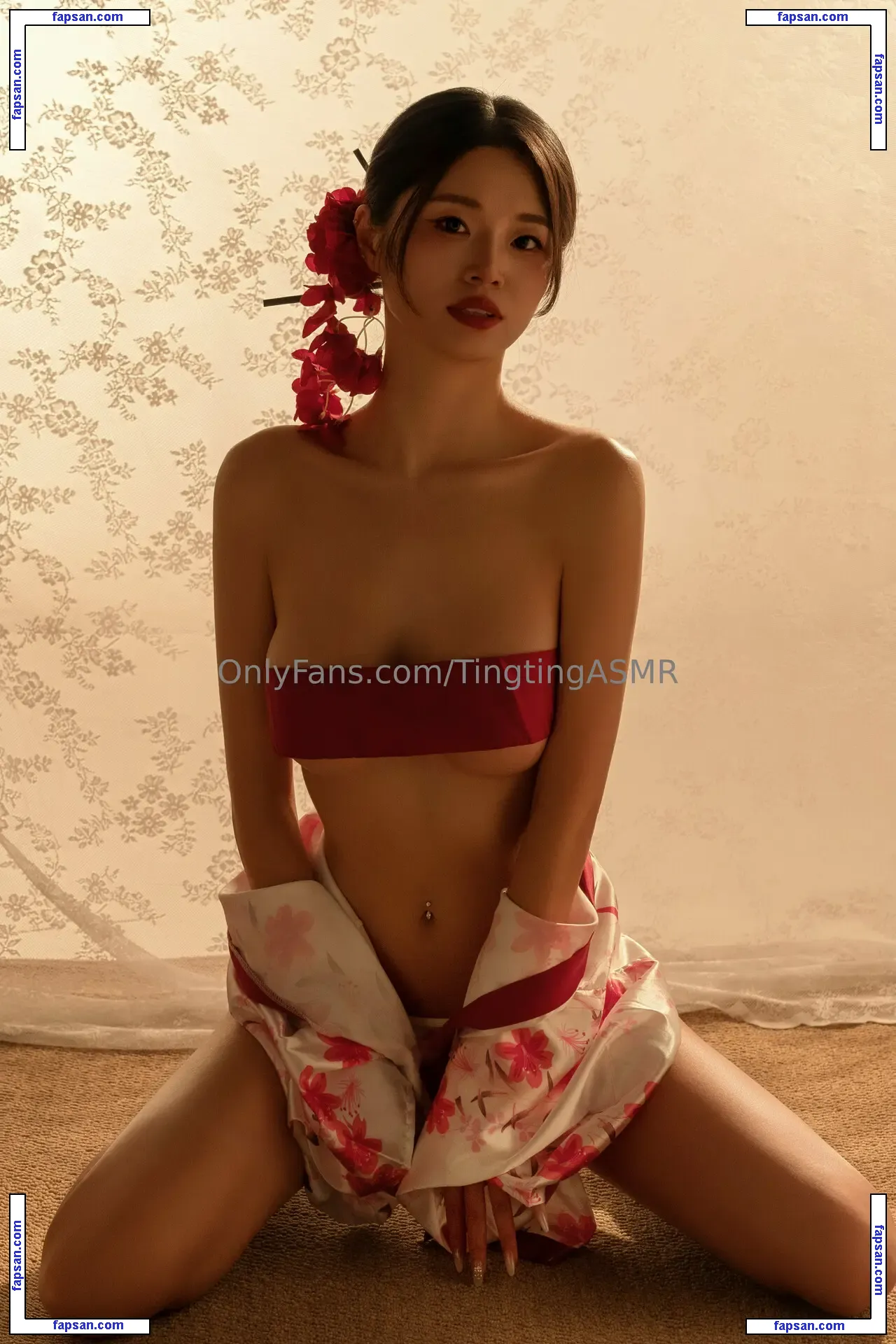 Tingting ASMR голая фото #0046 с Онлифанс
