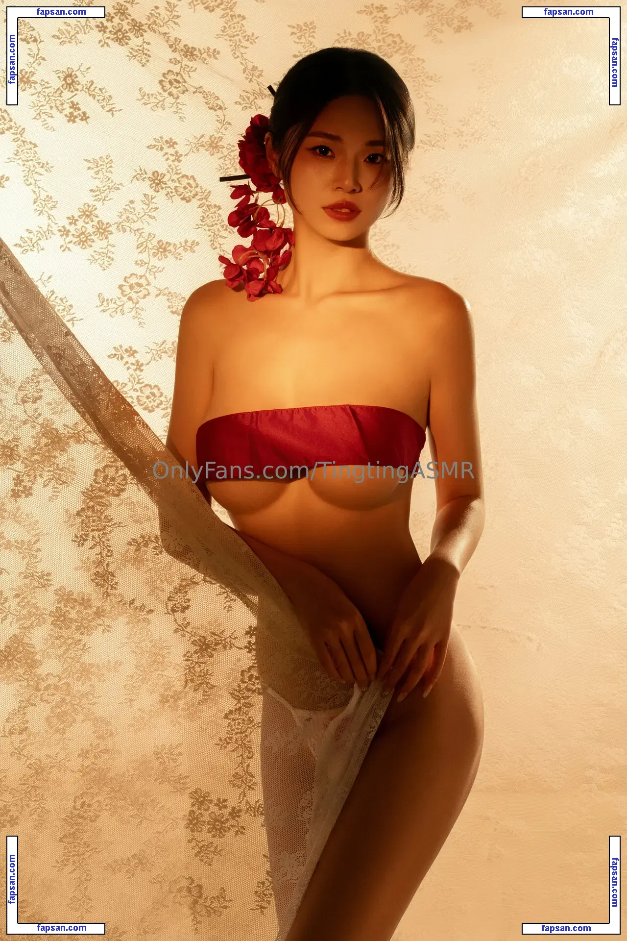 Tingting ASMR голая фото #0049 с Онлифанс
