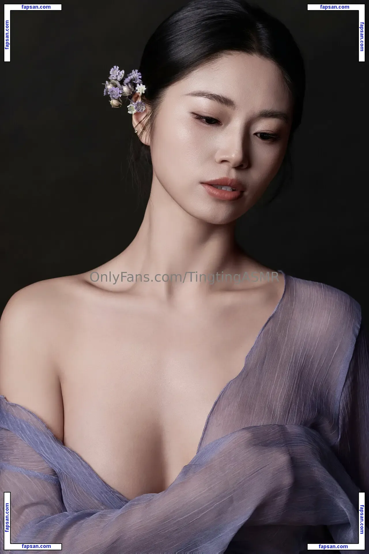 Tingting ASMR голая фото #0071 с Онлифанс