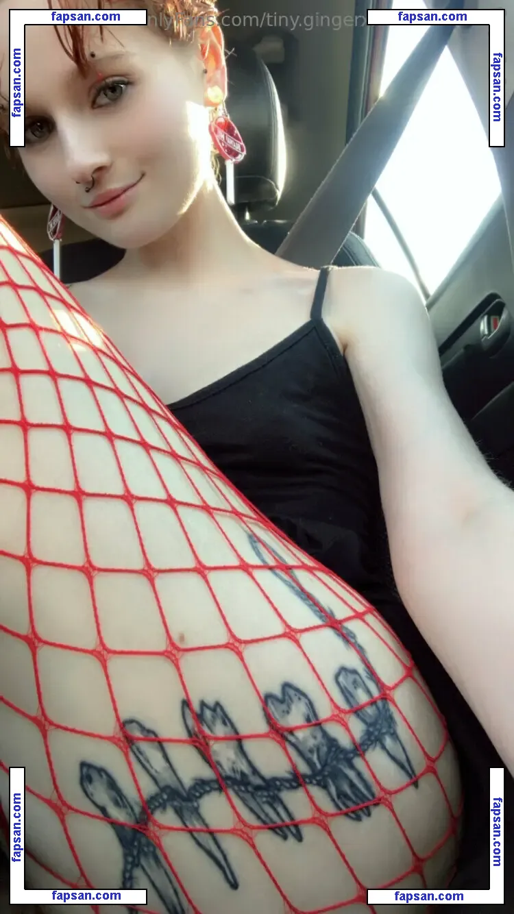 tiny.gingerxx nude photo #0001 from OnlyFans