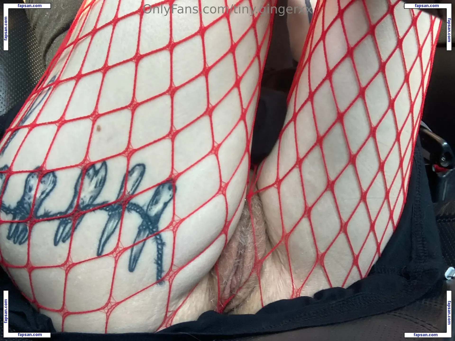 tiny.gingerxx nude photo #0004 from OnlyFans