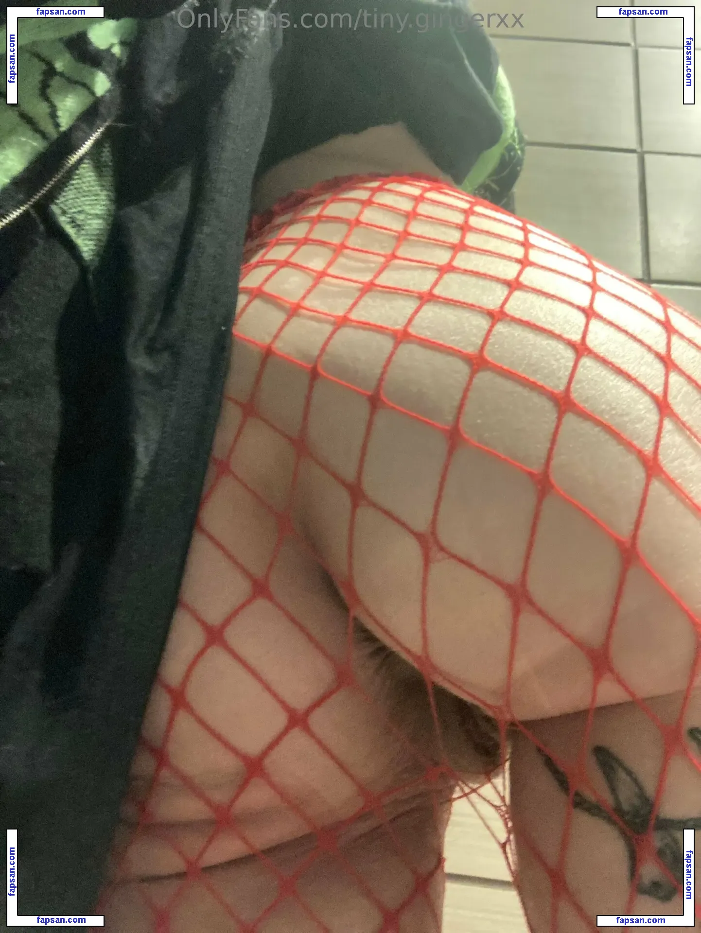 tiny.gingerxx nude photo #0009 from OnlyFans