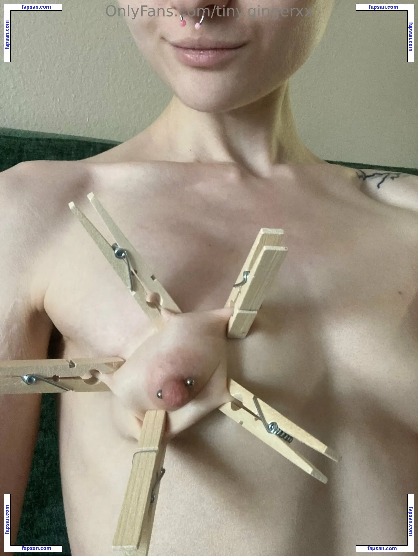 tiny.gingerxx nude photo #0026 from OnlyFans