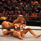 Torrie Wilson nude #0141