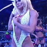 Torrie Wilson nude #0765