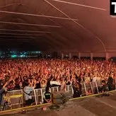 Tove Lo голая #0749