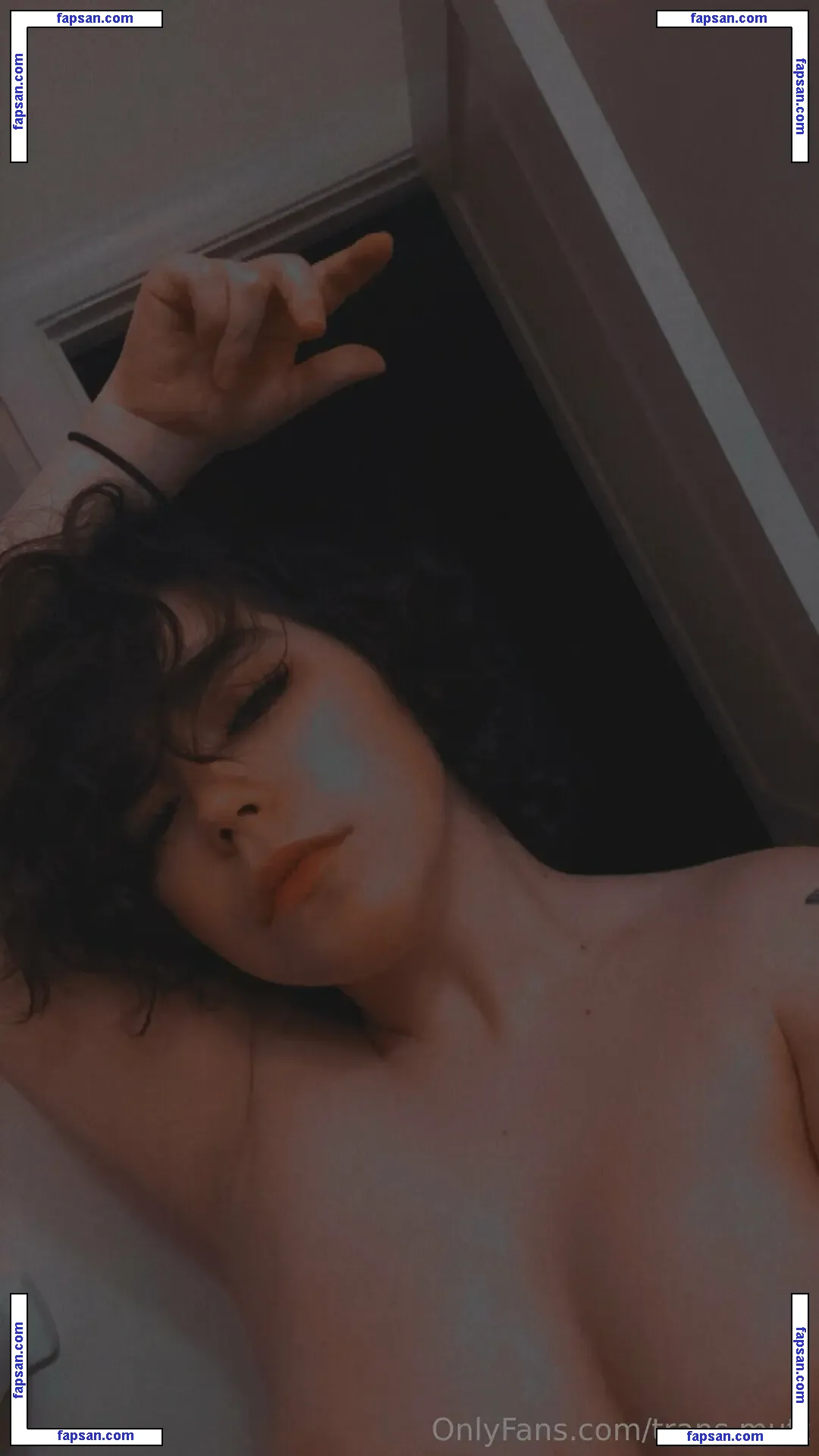 trans.mutt nude photo #0015 from OnlyFans