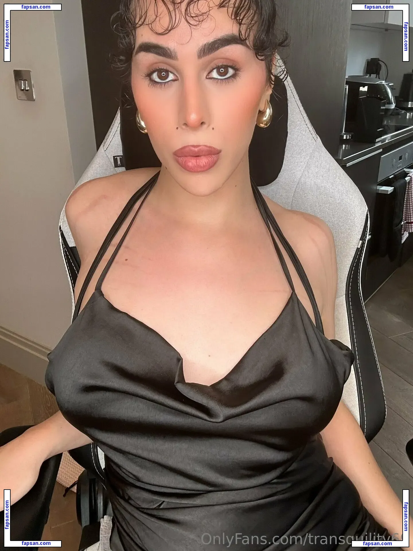 Transquility69 nude photo #0003 from OnlyFans