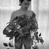 transtrentfree nude #0029