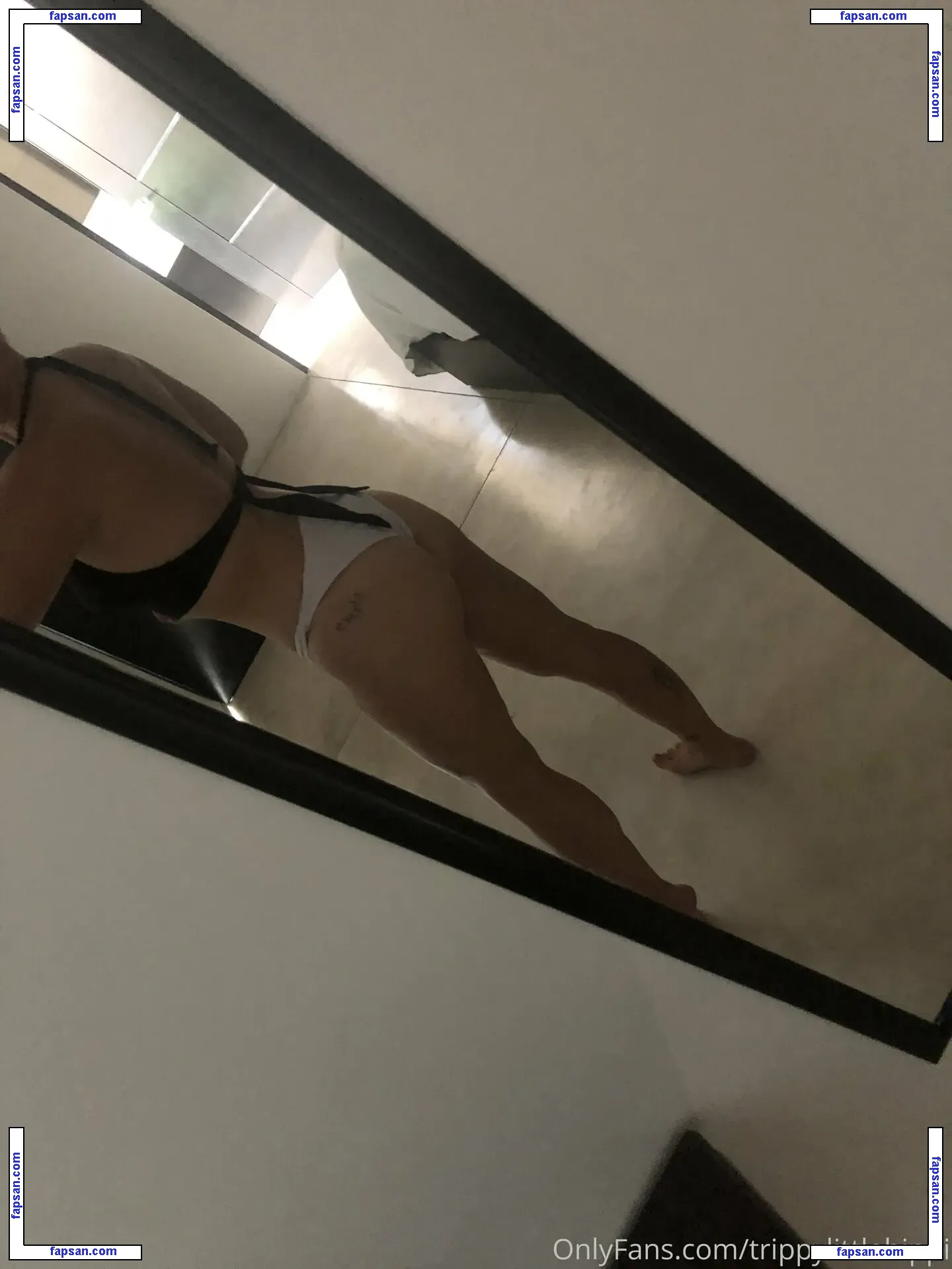 trippylittlehippi nude photo #0010 from OnlyFans