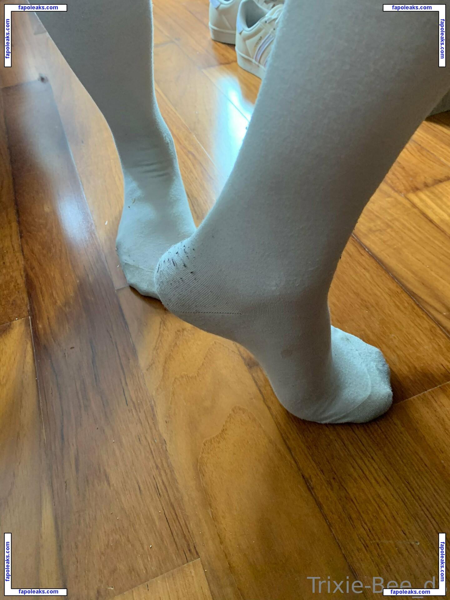 trixiebee_dirtysocks / peanutbutterandjellyaddict nude photo #0011 from OnlyFans