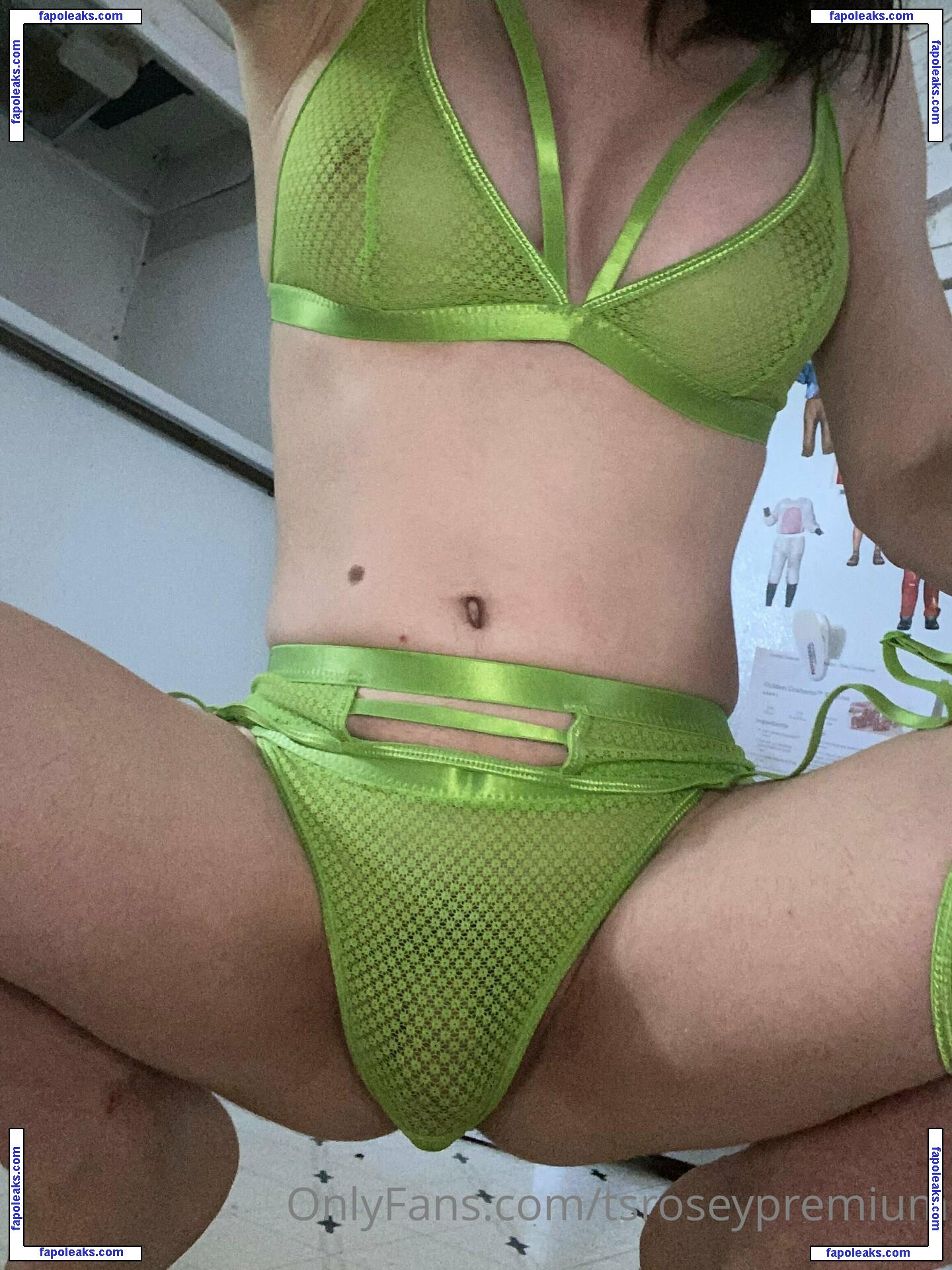 tsroseypremium / shympolaterasy nude photo #0021 from OnlyFans