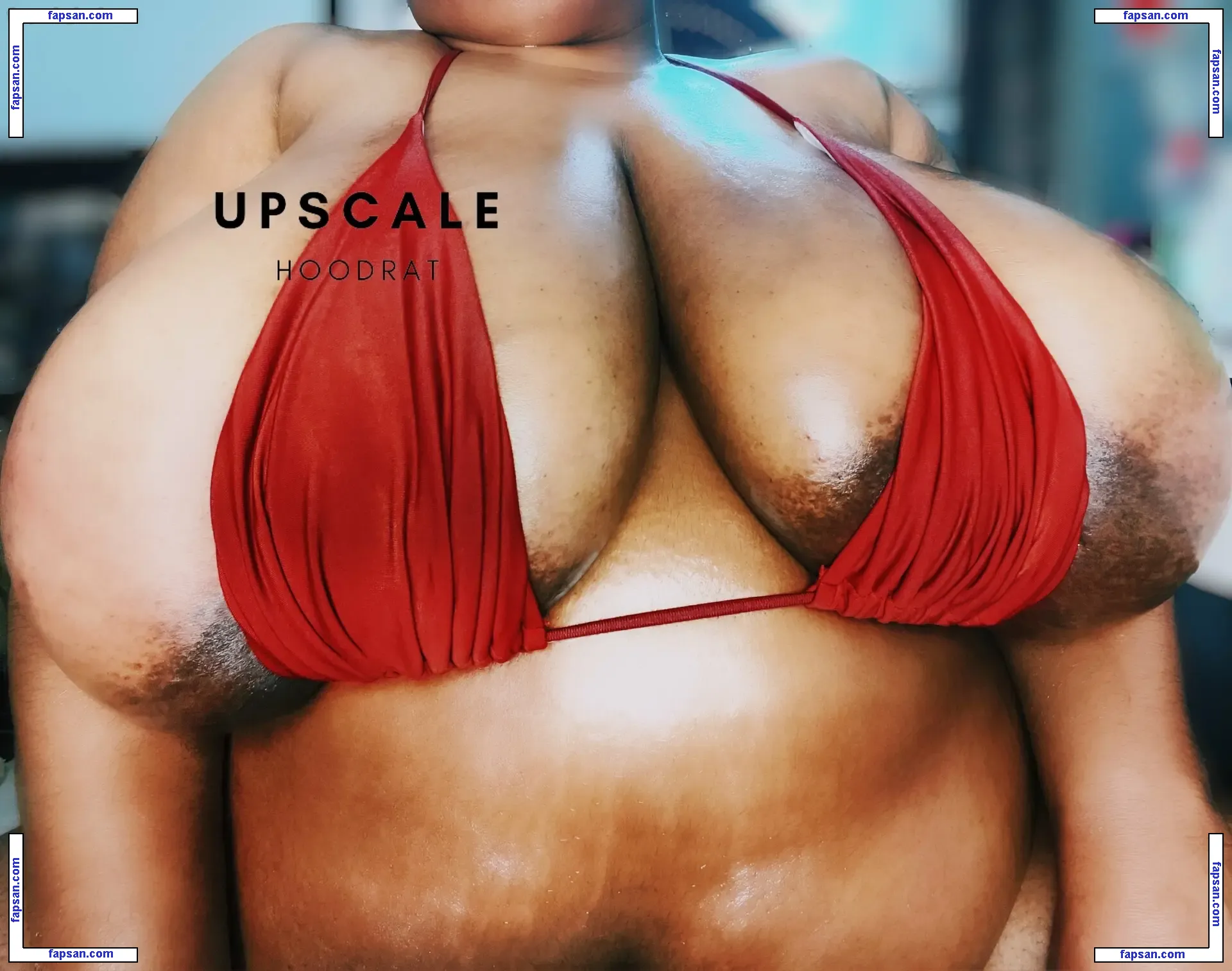 upscalehoodrat2 nude photo #0026 from OnlyFans