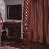 Uschi Digard nude #0313