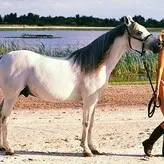 Ute Eckhardt голая #0003