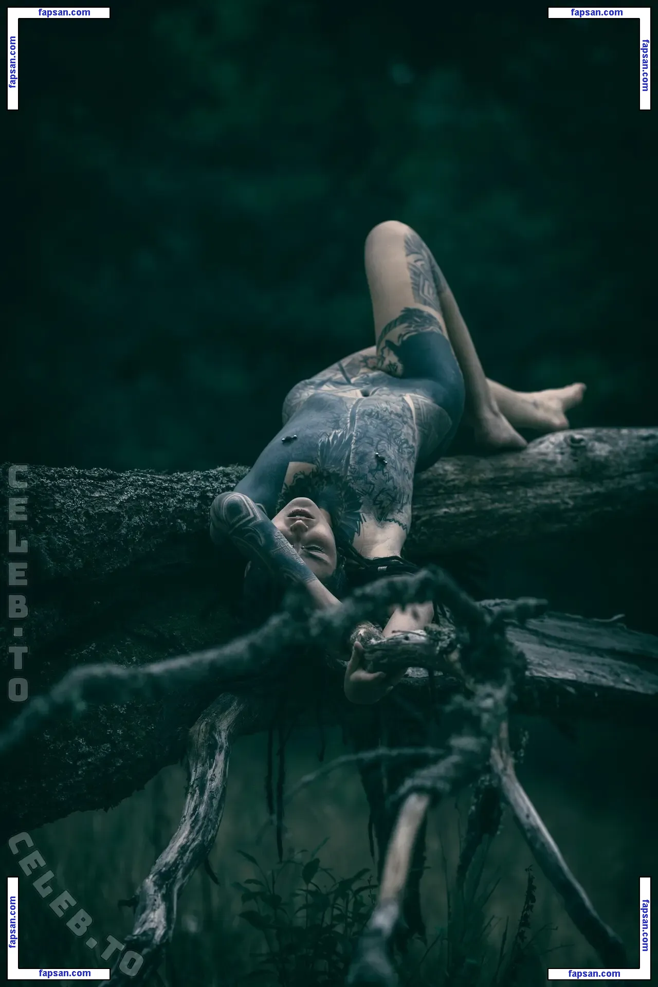 Valkyriz nude photo #0012 from OnlyFans