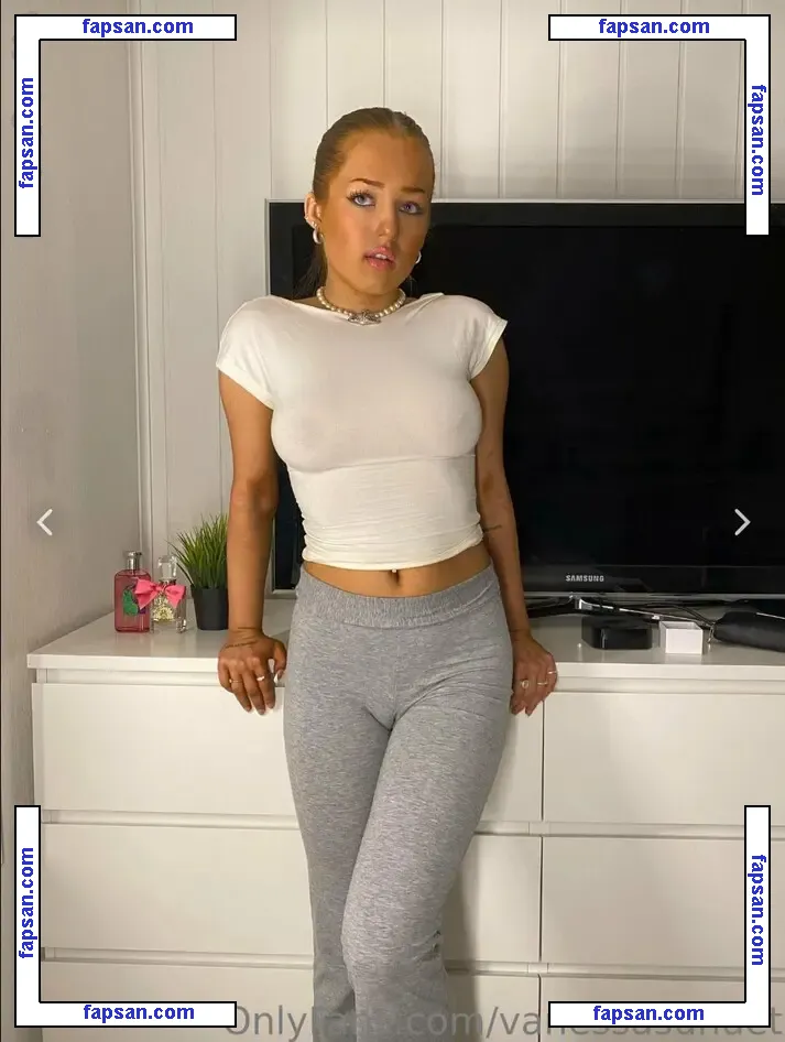 vanessasundet nude photo #0003 from OnlyFans