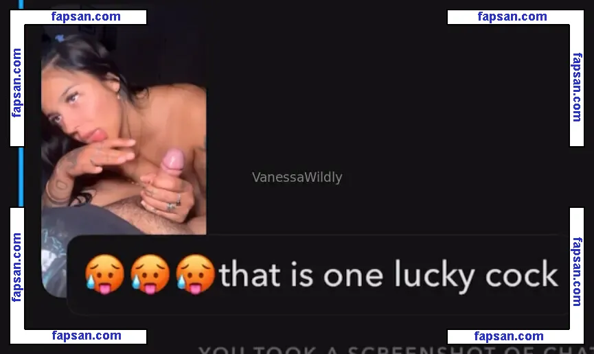 vanessawildly nude photo #0020 from OnlyFans
