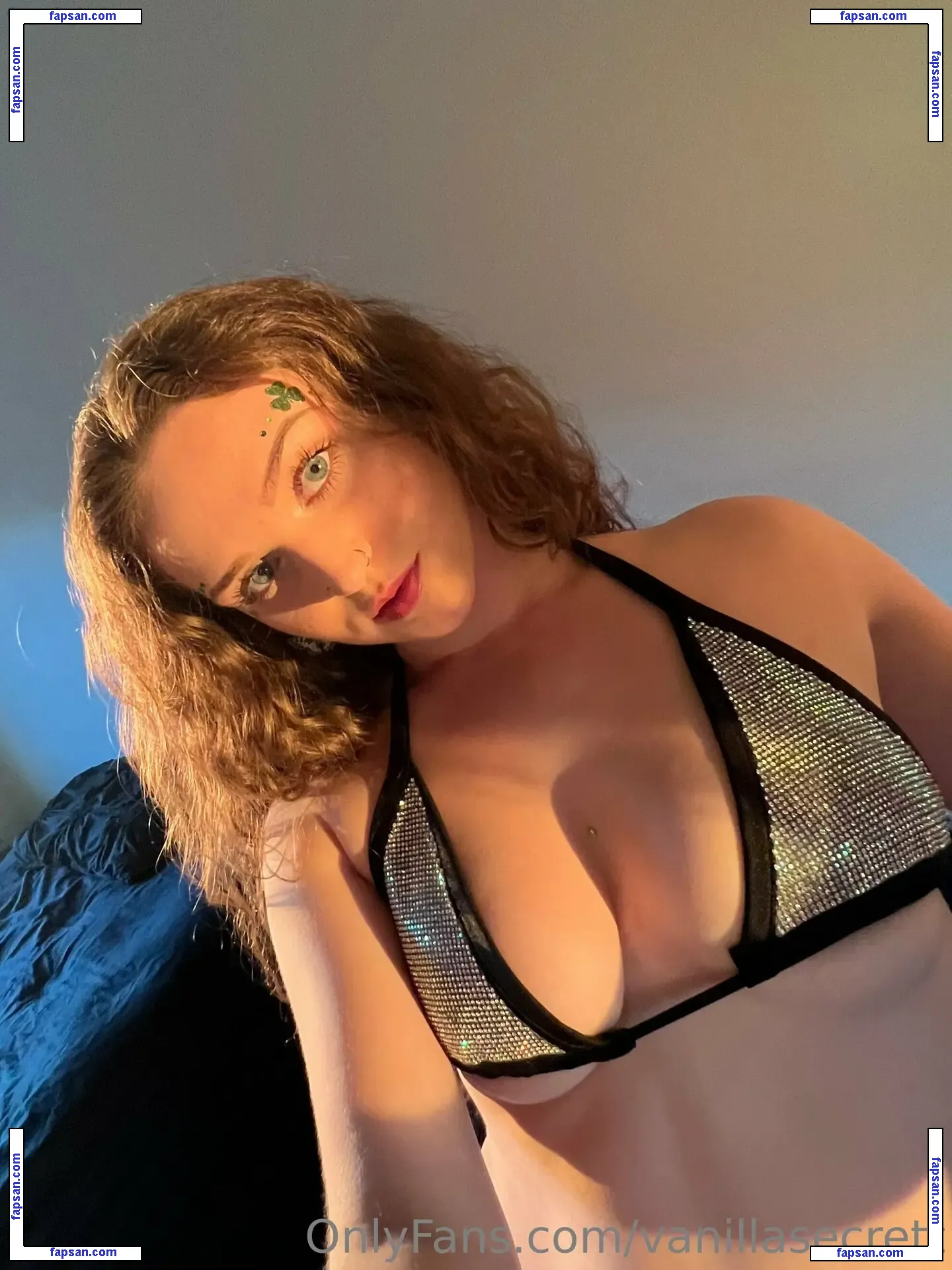 vanillasecrett nude photo #0122 from OnlyFans