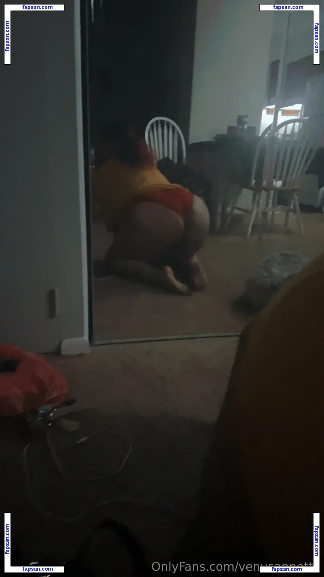 venusannette nude photo #0007 from OnlyFans