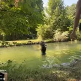 Verena Ullrich голая #0025