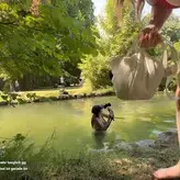 Verena Ullrich голая #0042