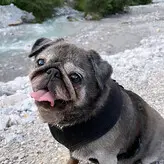 Verena Ullrich голая #0070