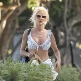Victoria Silvstedt голая #0953