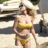 Victoria Silvstedt голая #1062