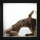 Vika Kucherenko голая #0038