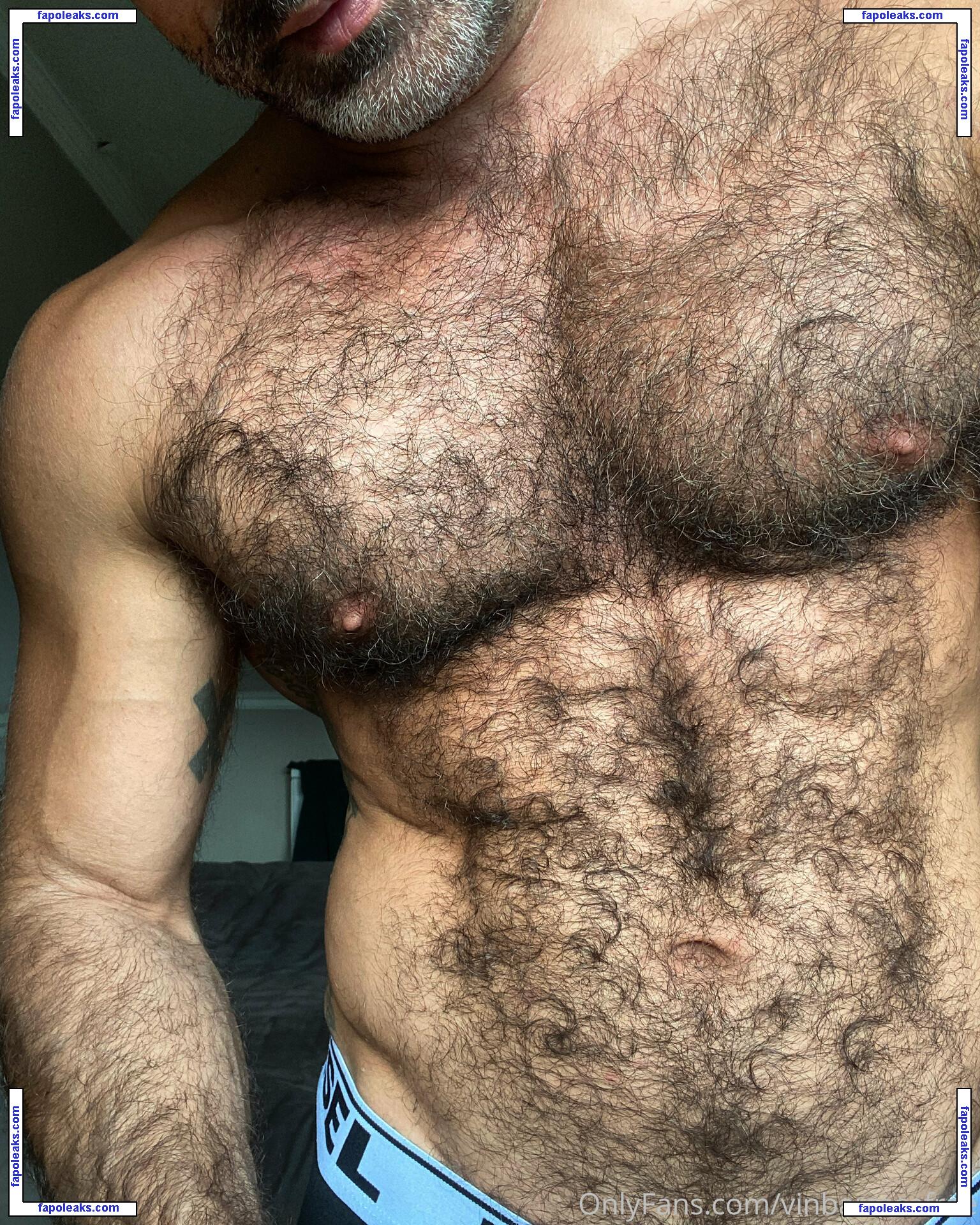 vinbarracafree / wfreed22 nude photo #0016 from OnlyFans