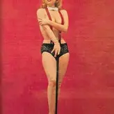 Vintage English Pinups голая #0021