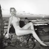 Vintage English Pinups голая #0022