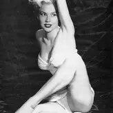 Vintage English Pinups голая #0036