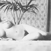 Vintage English Pinups голая #0100