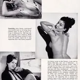 Vintage English Pinups голая #0109