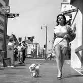 Vintage English Pinups голая #0122