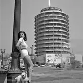 Vintage English Pinups голая #0123
