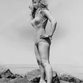 Vintage English Pinups nude #0137