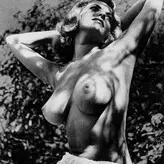 Vintage English Pinups голая #0184