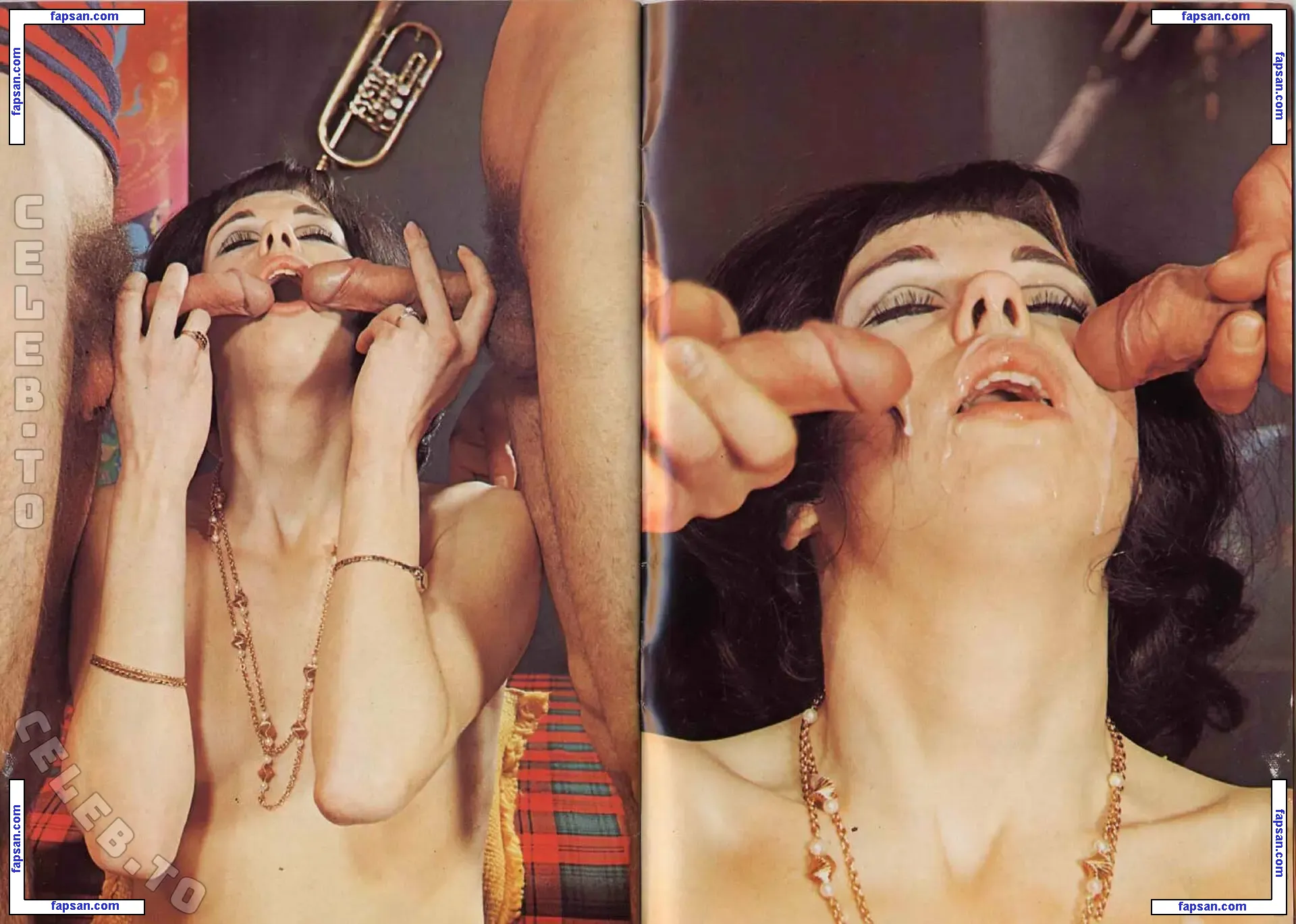 Vintage Erwachsenen Zeitschriften nude photo #1011 from OnlyFans