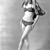 Vintage Sexy Celebs nude #0114