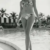 Vintage Sexy Celebs nude #0129