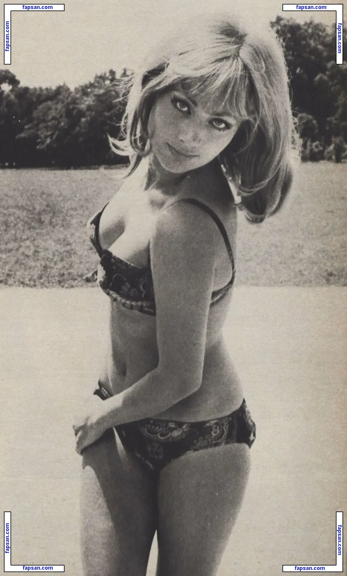 Vintage Starlets nude photo #0267 from OnlyFans