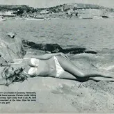 Vintage Starlets голая #0256