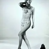 Vintage Starlets голая #0263