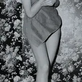 Vintage Starlets голая #0265