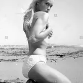Vintage Starlets голая #0314